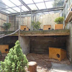 Scottish wildcat enclosure (2)