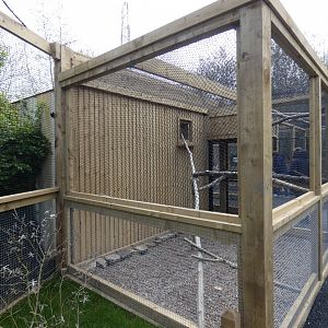 Separation exhibit in lemur walk-through