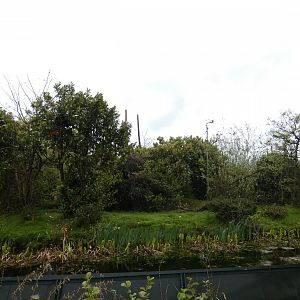 Lion-tailed macaque enclosure