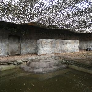 Malayan tapir indoor enclosure
