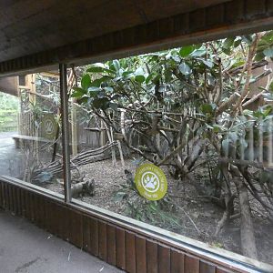 Miniature Monkeys indoor exhibit