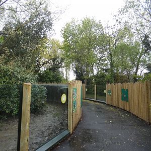 Miniature Monkeys viewing area