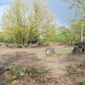 Greater one-horned rhino enclosure
