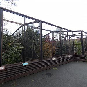 Pheasant and Passerine aviaries (former owl aviaries)