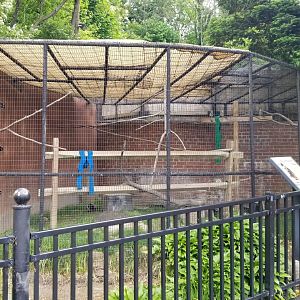 Brandywine Zoo - Burrowing owl (formerly opossum)