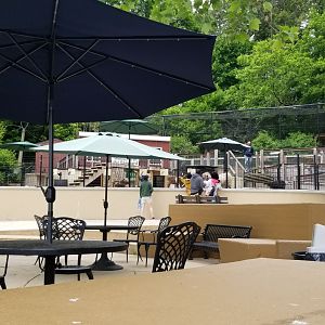 Brandywine Zoo - Dining area, farm, and bald eagle exhibit