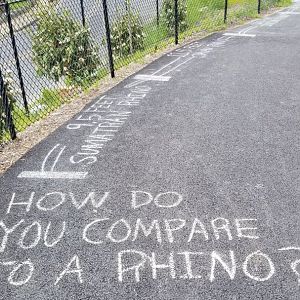 Brandywine Zoo - How do you compare to a rhino?