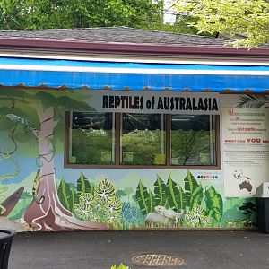 Brandywine Zoo - Reptiles of Australasia