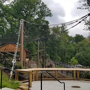 Brandywine Zoo - First view of lemur exhibit