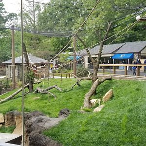 Brandywine Zoo - Lemurs