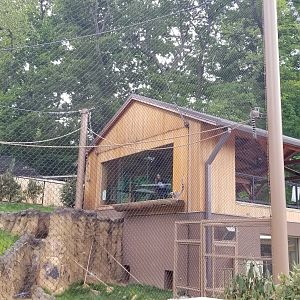 Brandywine Zoo - Lemur exhibit