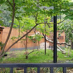 Brandywine Zoo - Pudu, toucan exhibit
