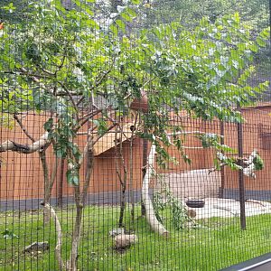 Brandywine Zoo - Pudu, toucan exhibit