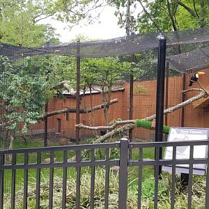 Brandywine Zoo - Pudu, toucan exhibit