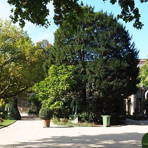 View in the zoo near the bird house, 2020-09-20