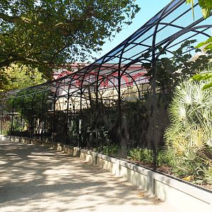 Bird house - Mixed outdoor aviaries, 2020-09-20