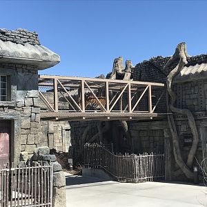 Lost Kingdom - tiger overpass