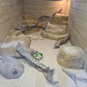 Fat sand rat exhibit - Hamerton