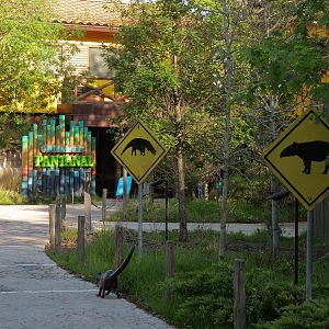 Pantanal - Path to Entry Area