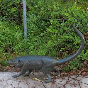 Pantanal - Entry Area - Coatimundi Sculpture