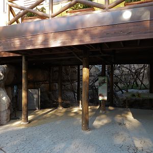 Pantanal - Mixed Primate Exhibit - Viewing Area
