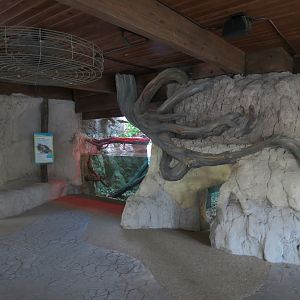 Pantanal - Green Anaconda Exhibit - Viewing Area