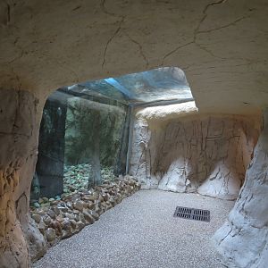 Pantanal - Green Anaconda Exhibit - Visitor Crawl Tunnel