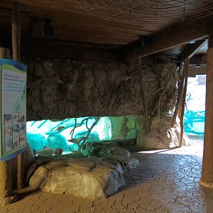 Pantanal - Fish Exhibit Adjoining Giant River Otter Exhibit