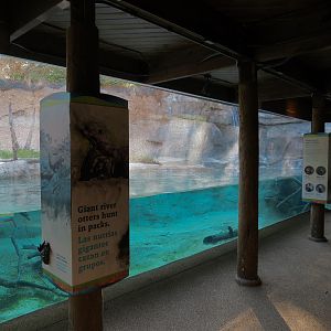 Pantanal - Giant River Otter Exhibit Viewing Building