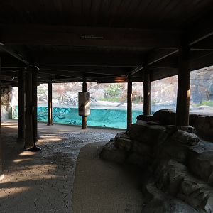 Pantanal - Giant River Otter Exhibit Viewing Building