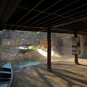 Pantanal - Giant River Otter Exhibit Viewing Building