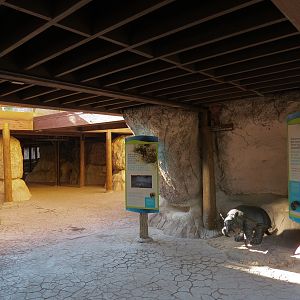 Pantanal - Giant Armadillo Sculpture Area