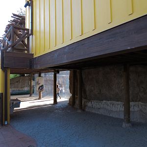 Pantanal - Giant River Otter Exhibit Viewing Building