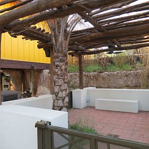 Pantanal - Courtyard
