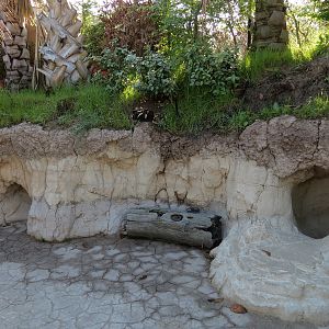 Pantanal - Fallen Log Sculpture