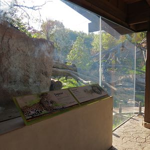 Pantanal - Jaguar Exhibit - Viewing Shelter