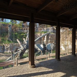 Pantanal - Jaguar Exhibit - Viewing Shelter