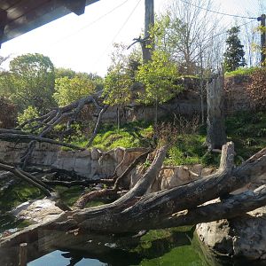 Pantanal - Jaguar Exhibit - Interior