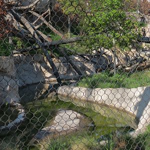 Pantanal - Jaguar Exhibit - Interior
