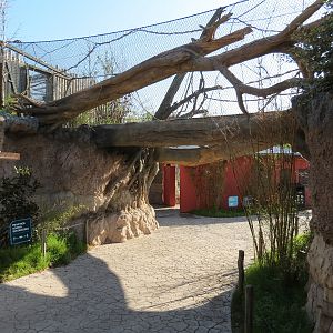 Pantanal - Jaguar Exhibit - Transfer Bridge Over Visitor Path