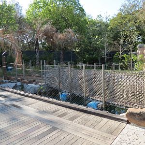Pantanal - Floating Bridge