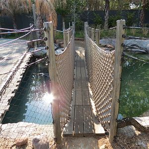 Pantanal - Floating Bridge