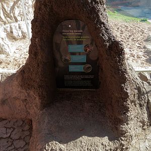 Pantanal - Mixed Species Exhibit - Viewing Shelter - Simulated Termite Mound