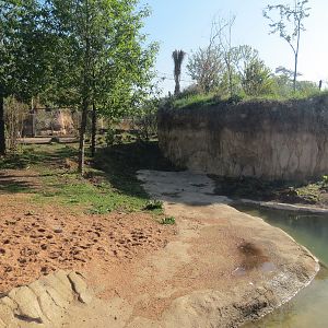 Pantanal - Mixed Species Exhibit - Side Yard Interior