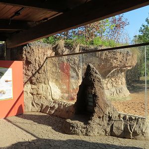 Pantanal - Mixed Species Exhibit - Viewing Shelter