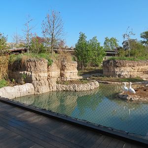 Pantanal - Mixed Species Exhibit - Viewing Area