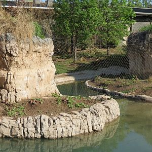 Pantanal - Mixed Species Exhibit - Interior
