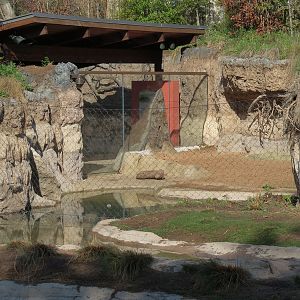 Pantanal - Mixed Species Exhibit - Interior