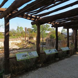 Pantanal - Mixed Species Exhibit - Viewing Pergola