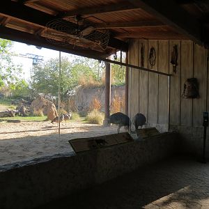 Pantanal - Mixed Species Exhibit - Viewing Shelter
